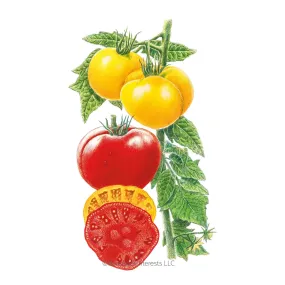 Brandywine Red & Yellow Blend Pole Tomato Seeds Brandywine Red & Yellow Blend Pole Tomato Seeds