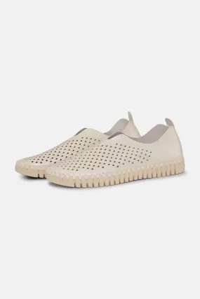 Flats - Whitecap Flats - Whitecap