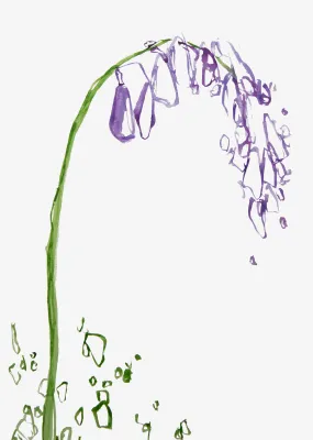 Minimal Bluebell Wall Art Print Minimal Bluebell Wall Art Print