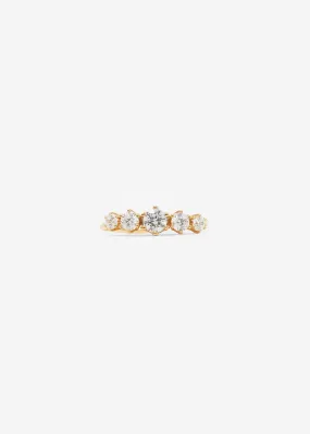 Quintuple Ring Scaled Quintuple Ring Scaled